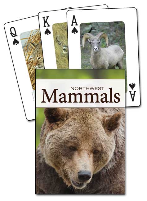 Mammals of the Northwest Playing Cards